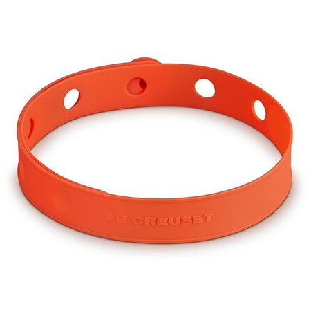 Silicone Travel Latch