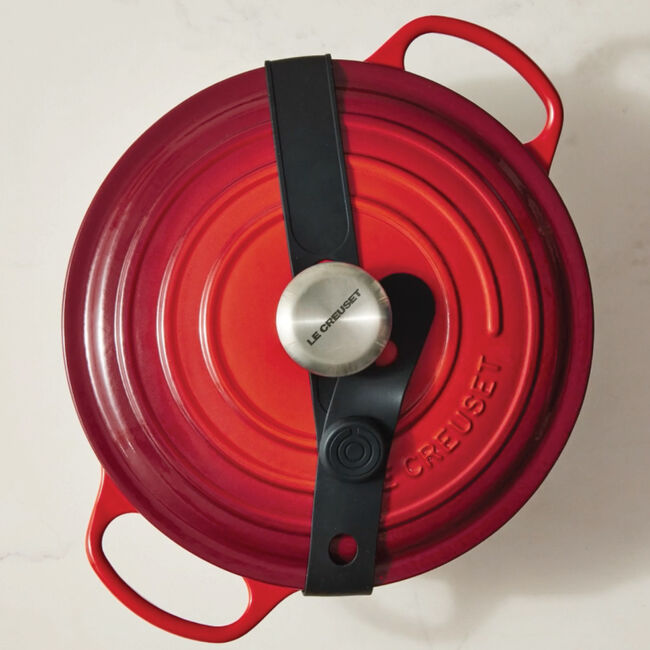 Silicone Travel Latch